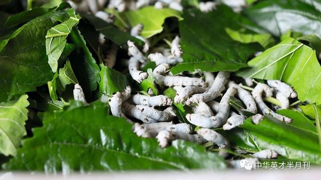 下载-6_副本.jpg 下载-6_副本.jpg