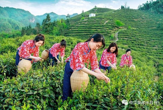 下载-5_副本.jpg 下载-5_副本.jpg