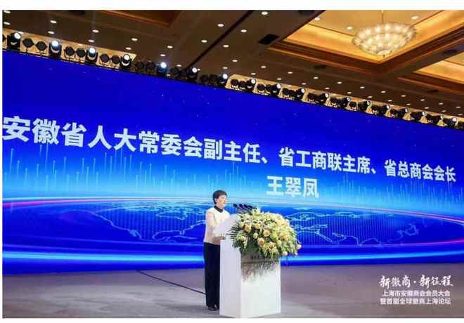 安徽省工商联主席、省总商会会长王翠凤_副本.jpg